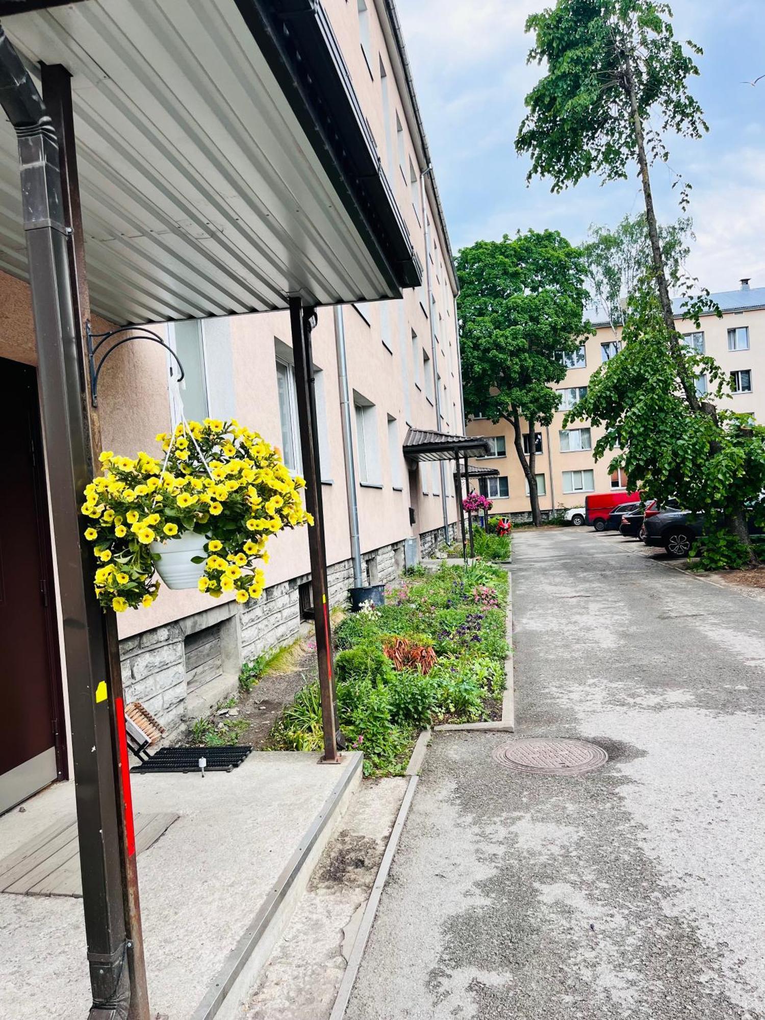 Tallinnhousing Studio For 4 With Free Parking Екстер'єр фото